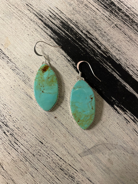 Oval Turquoise Earrings